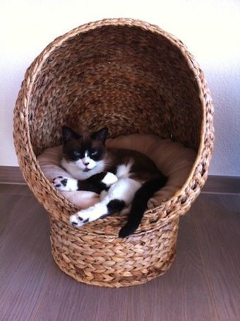 CLOE très bien installée
