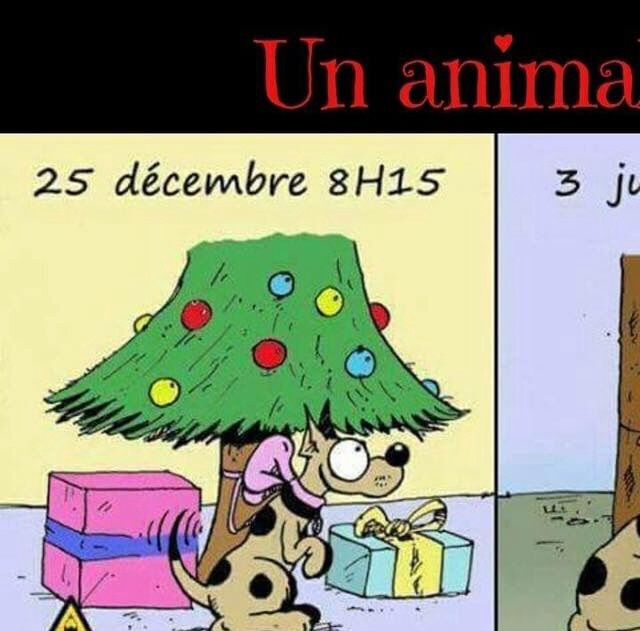 Décembre 2017 
Ne jamais cesser de le dire 